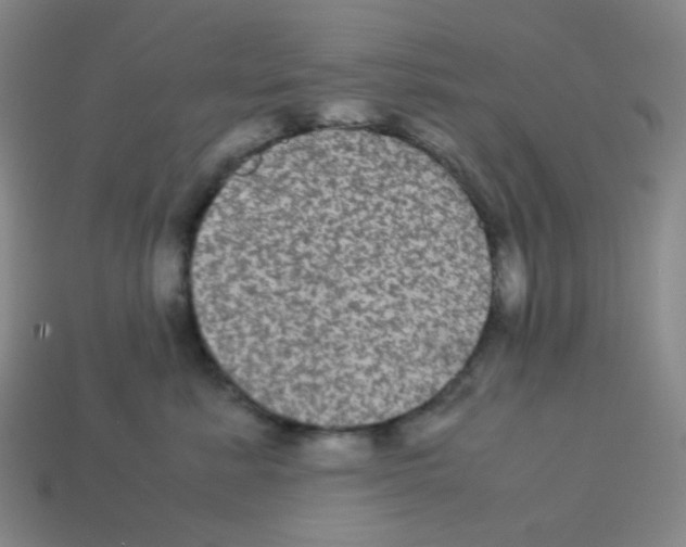 X0000113240619200910221102