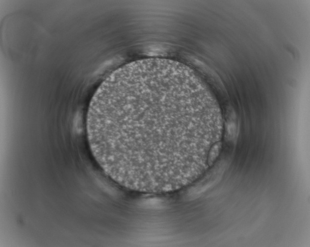 X0000113240620200910221102