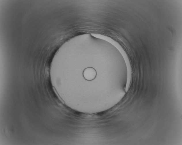 X0000113240621200910221102