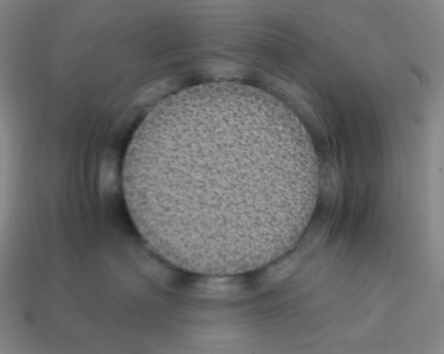 X0000113240622200910221102