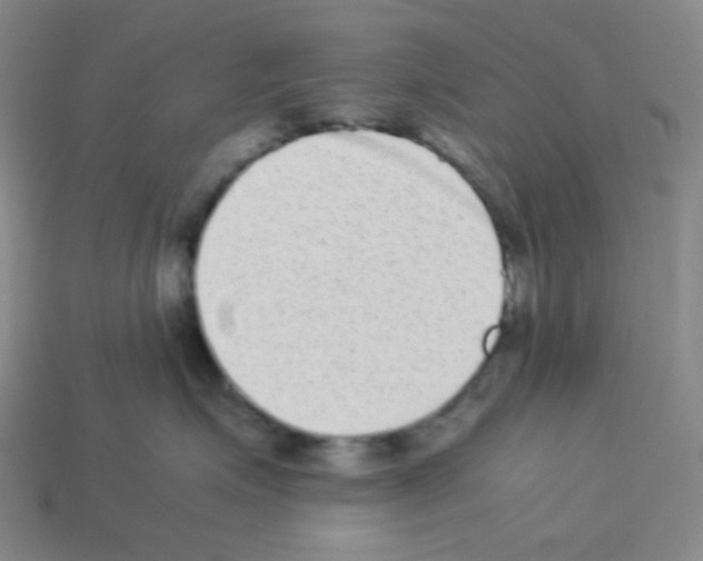 X0000113240623200910221102