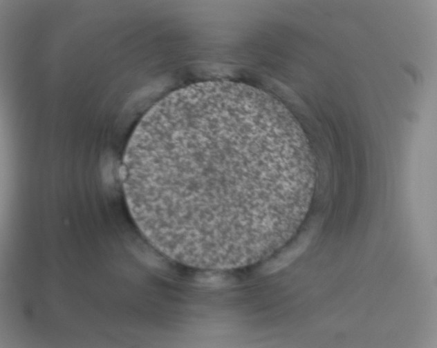X0000113240624200910221102