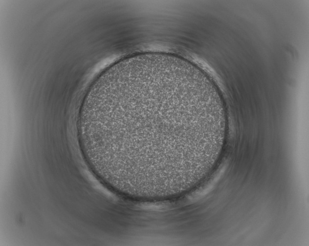 X0000113240625200910221101