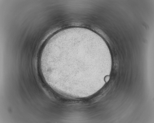 X0000113240626200910221101