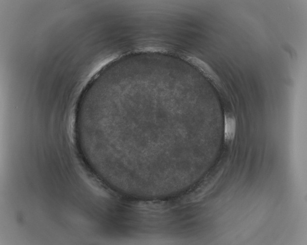 X0000113240627200910221101