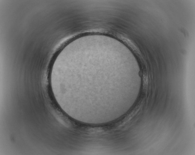 X0000113240628200910221101