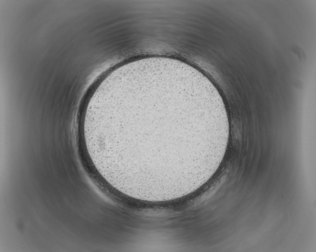 X0000113240630200910221101