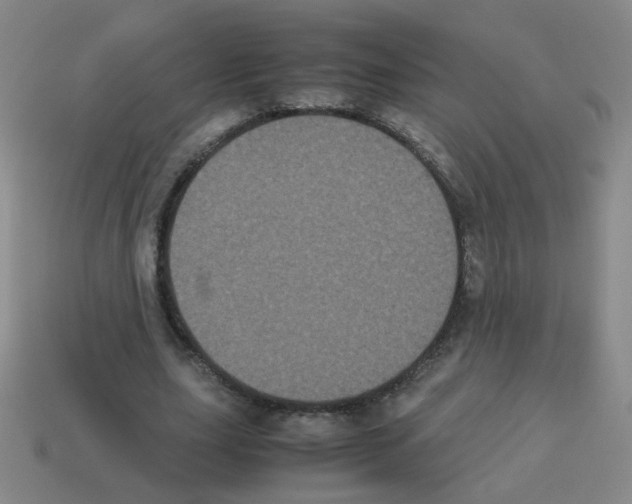X0000113240631200910221101