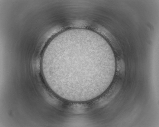 X0000113240632200910221101