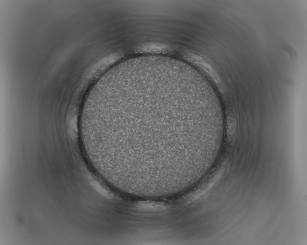 X0000113240633200910221101