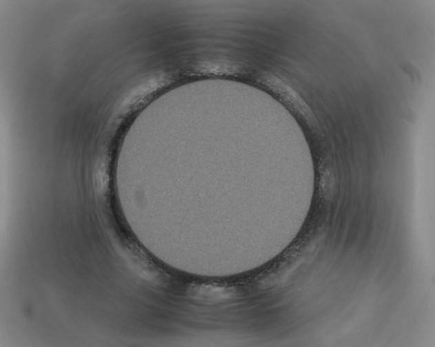 X0000113240635200910221101