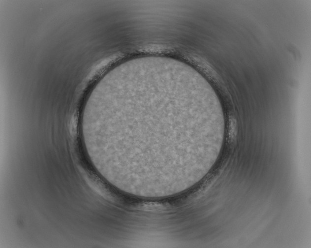 X0000113240636200910221101