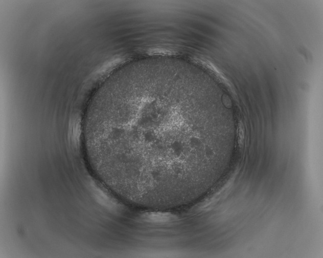 X0000113240637200910221101