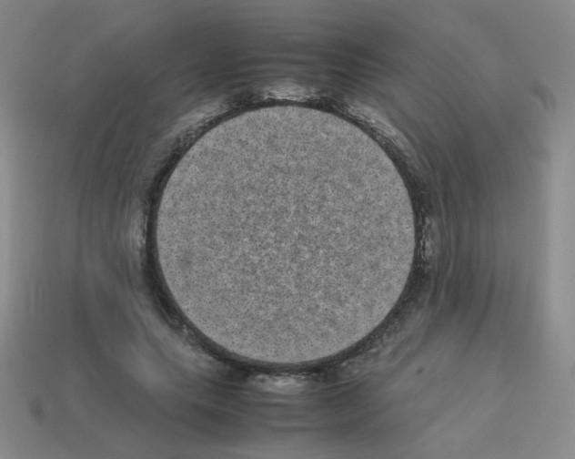 X0000113240639200910221101