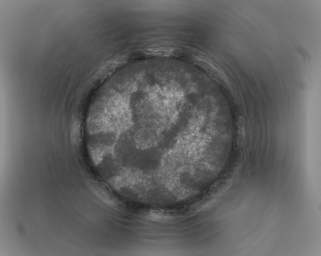 X0000113240641200910221101