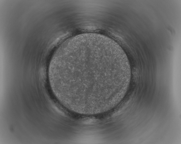 X0000113240642200910221101