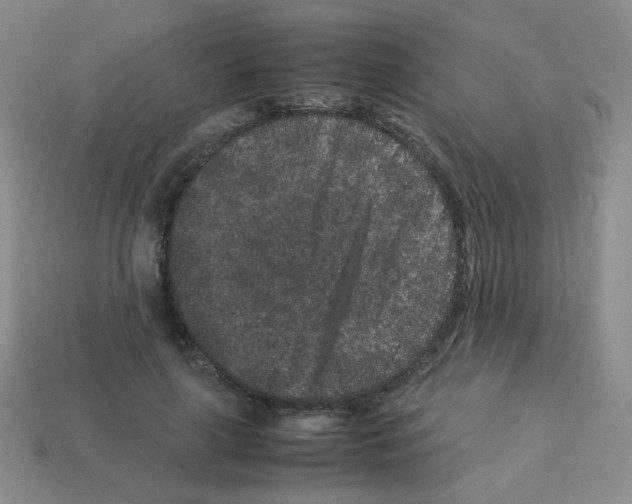 X0000113240643200910221101