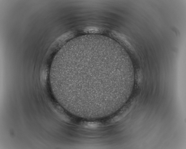 X0000113240645200910221101