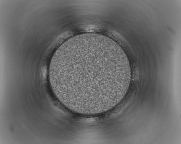 X0000113240646200910221101