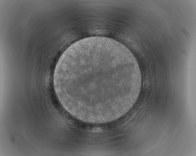 X0000113240647200910221101