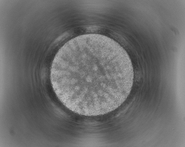 X0000113240648200910221101