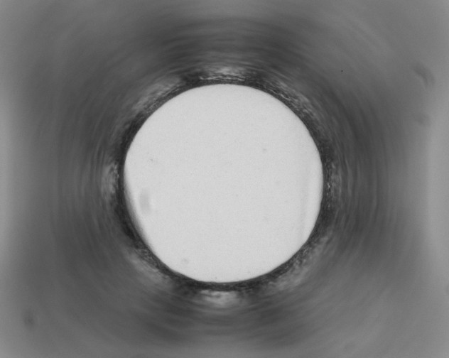 X0000113240649200910221101
