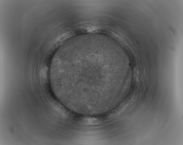 X0000113240650200910221101