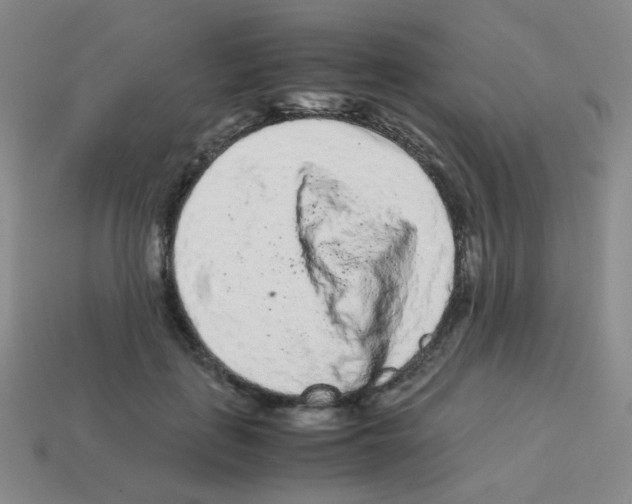X0000113240651200910221101