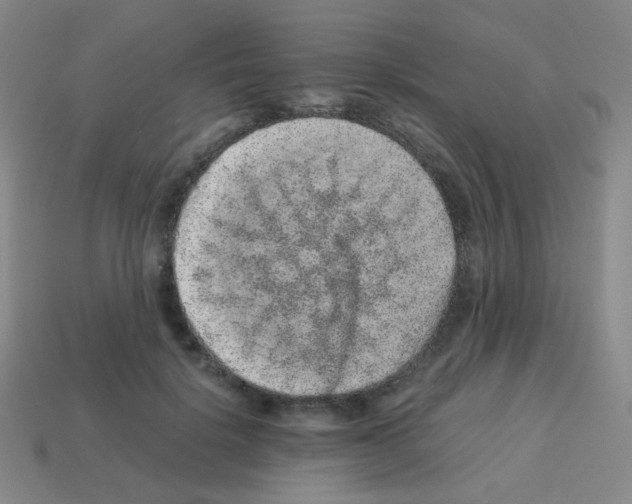 X0000113240652200910221101