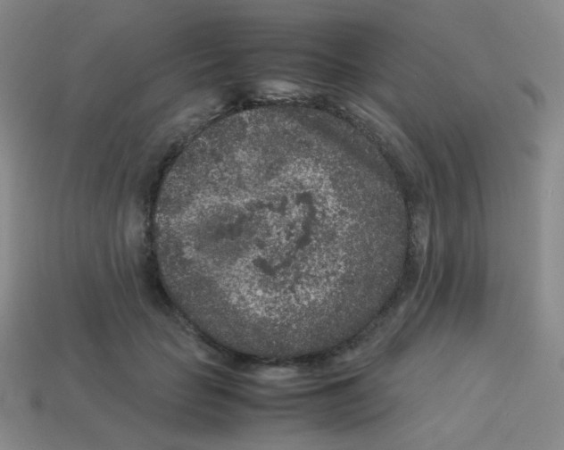 X0000113240653200910221101