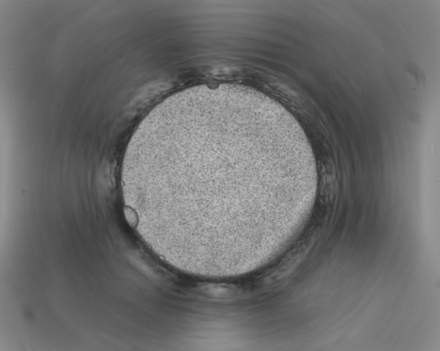 X0000113240654200910221101