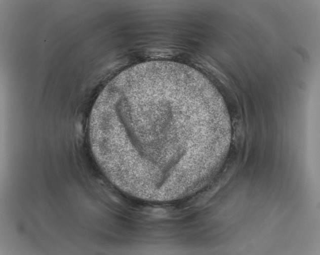 X0000113240655200910221101