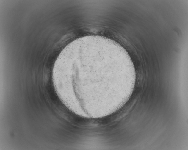 X0000113240656200910221101