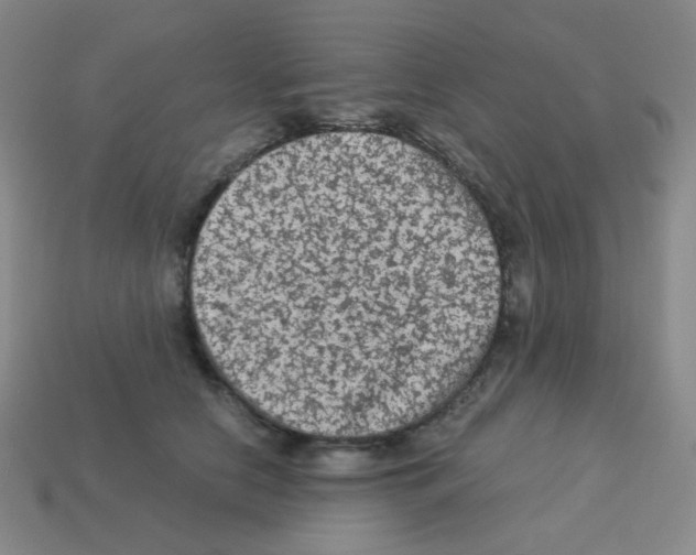 X0000113240658200910221101