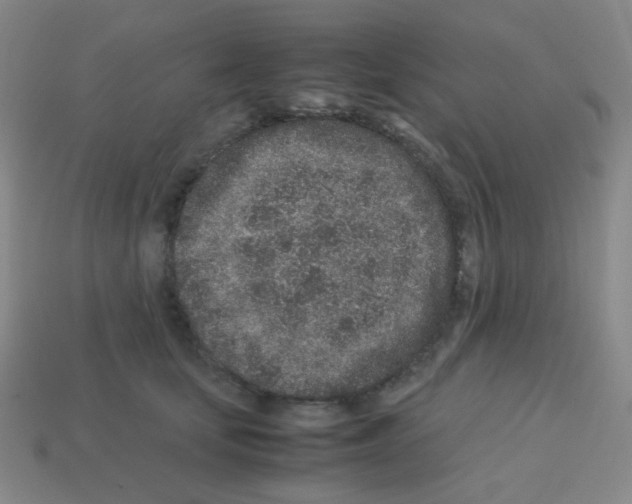 X0000113240659200910221101