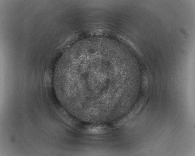 X0000113240661200910221101