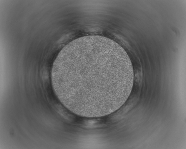 X0000113240662200910221101