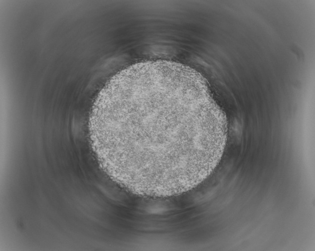 X0000113240663200910221101