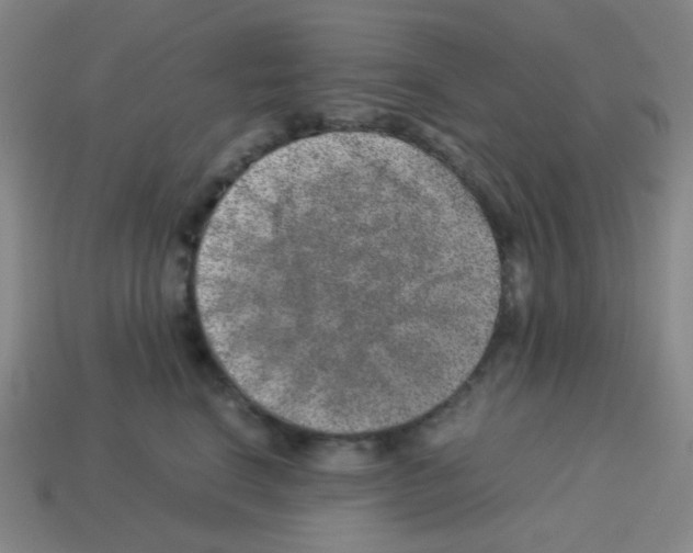 X0000113240664200910221102