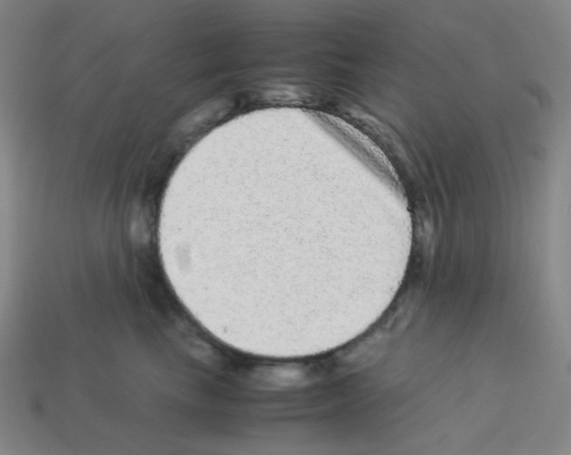 X0000113240665200910221102