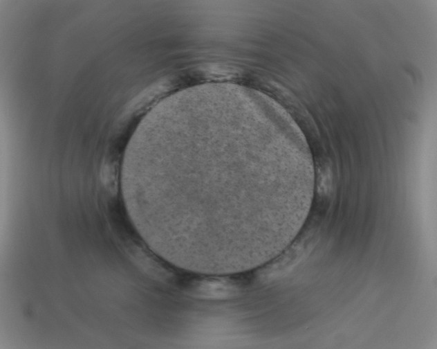 X0000113240666200910221102