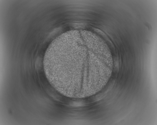 X0000113240667200910221102