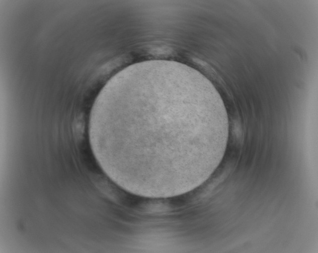 X0000113240668200910221102