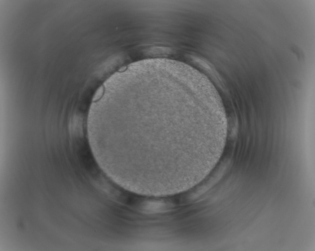 X0000113240669200910221102