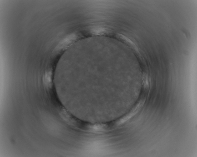 X0000113240670200910221102