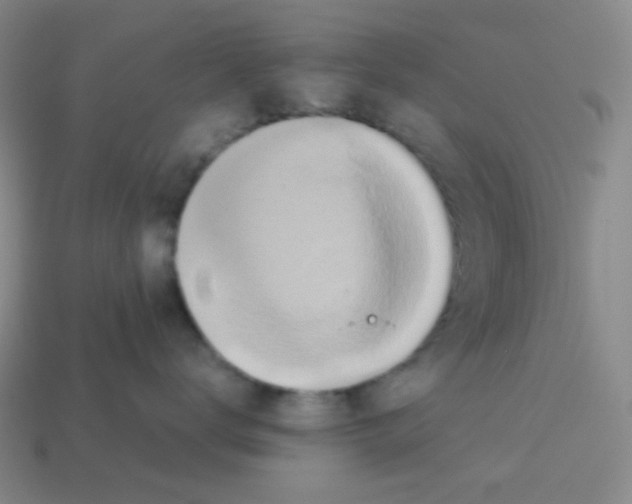 X0000113240672200910221102