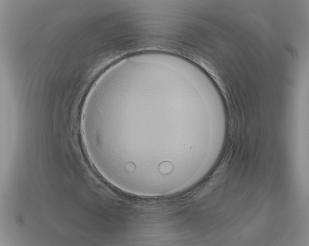 X0000113240673200910221101