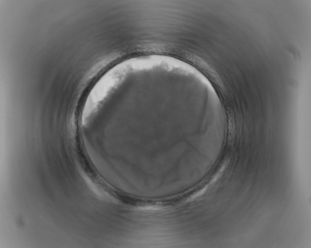 X0000113240674200910221101