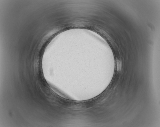 X0000113240675200910221101