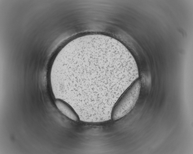 X0000113240676200910221101